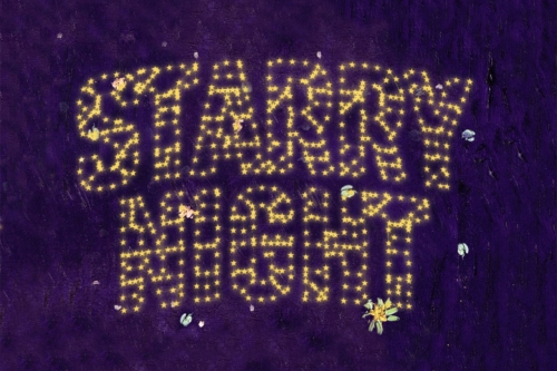Starry Night 2024